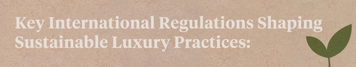 Key International Regulations Shaping Sustainable Luxury Practices